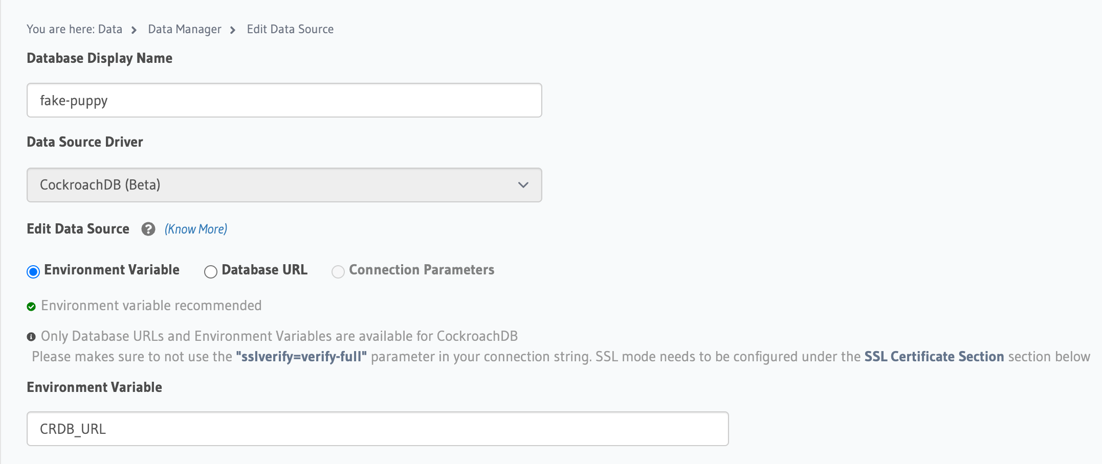 Adding the connection string to the Hasura Data Manager